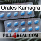Oral Kamagra viagra4